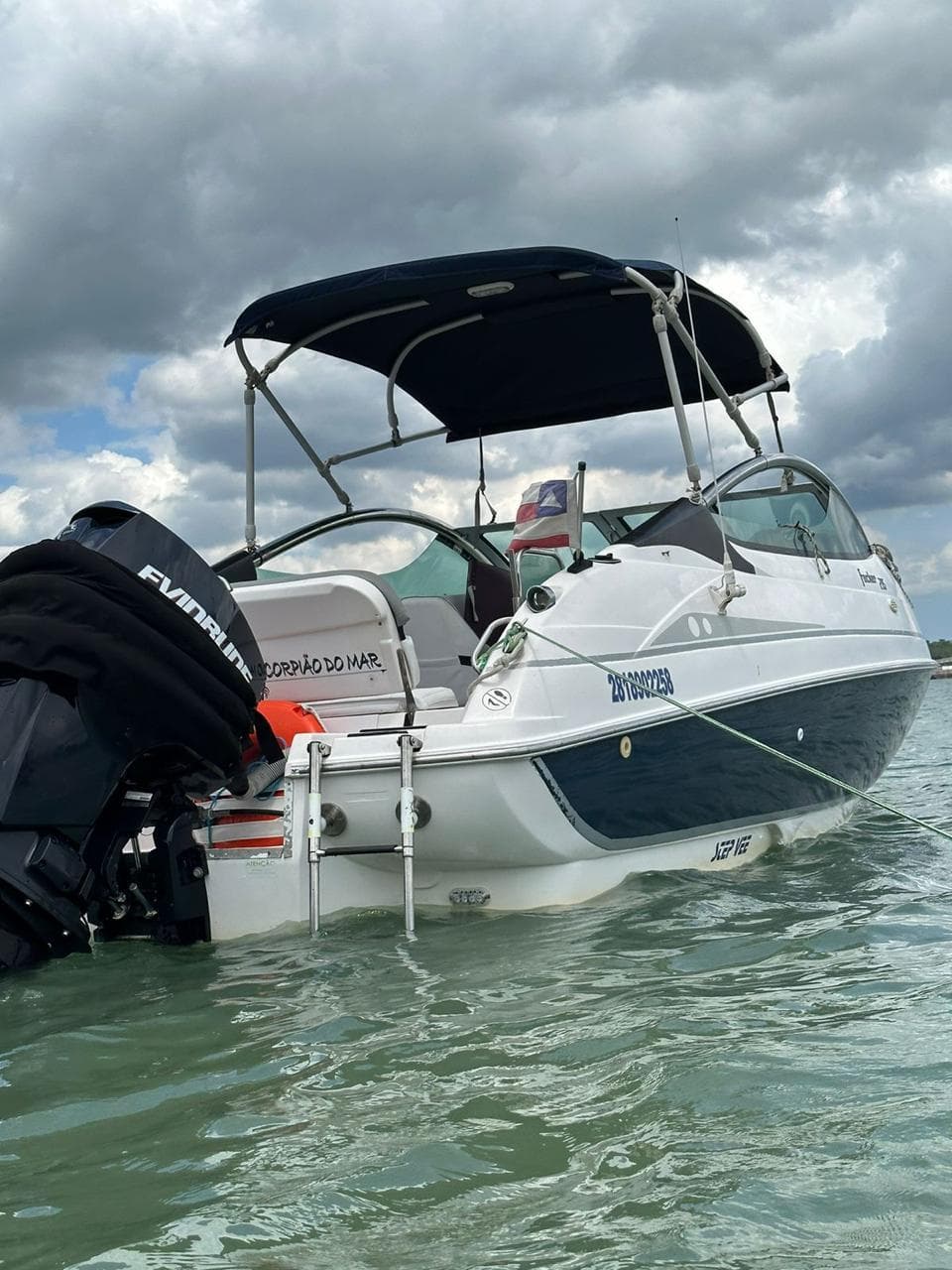 Focker 215 2012