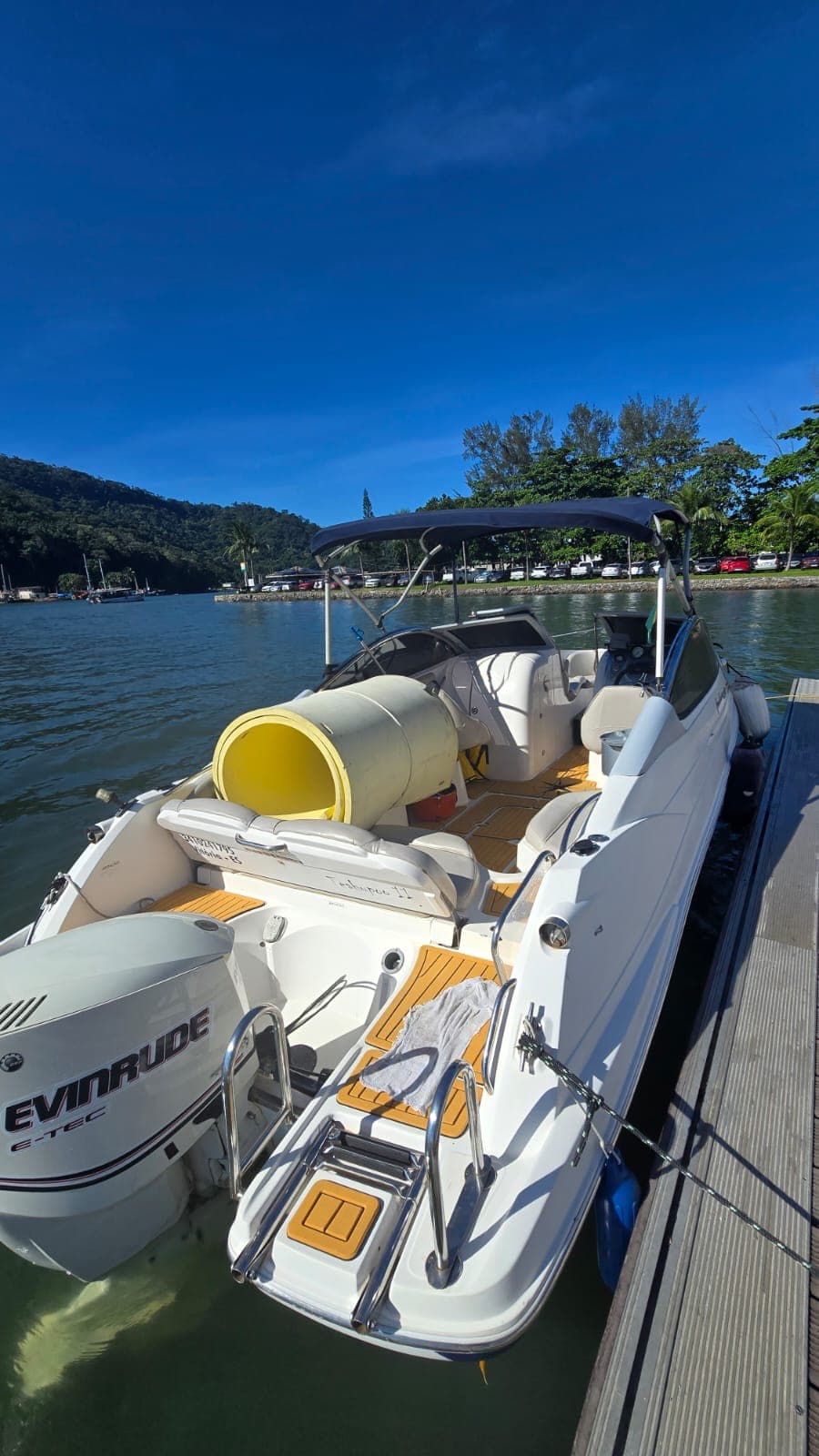 Focker 24